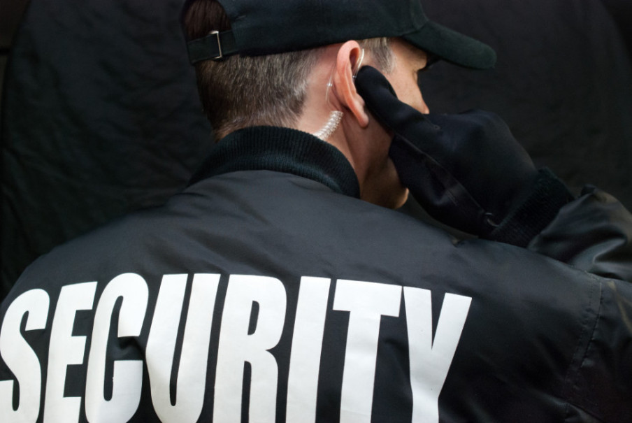 Electronic Security Systems